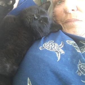 Meet your Posher, Phyllis